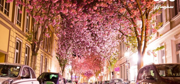 بلوار شکوفه های گیلاس، بن , آلمان